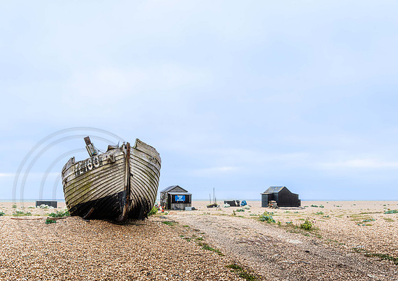 Dungeness